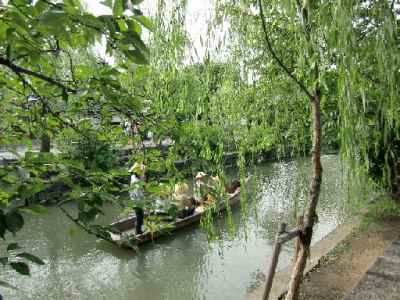 CIMG0736.jpg